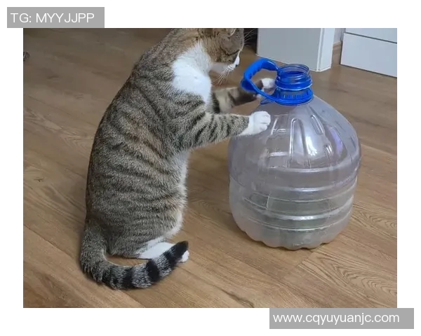 足球场上的王八传奇揭秘那些像王八一样顽强拼搏的足球明星们 足球场上的王八传奇揭秘那些像王八一样顽强拼搏的足球明星们